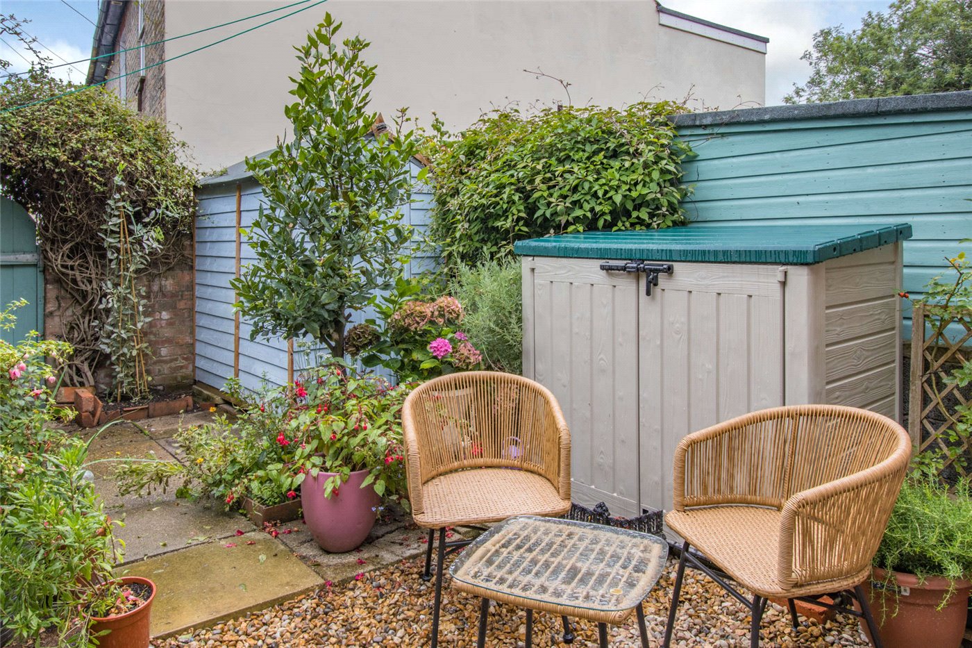 Garden